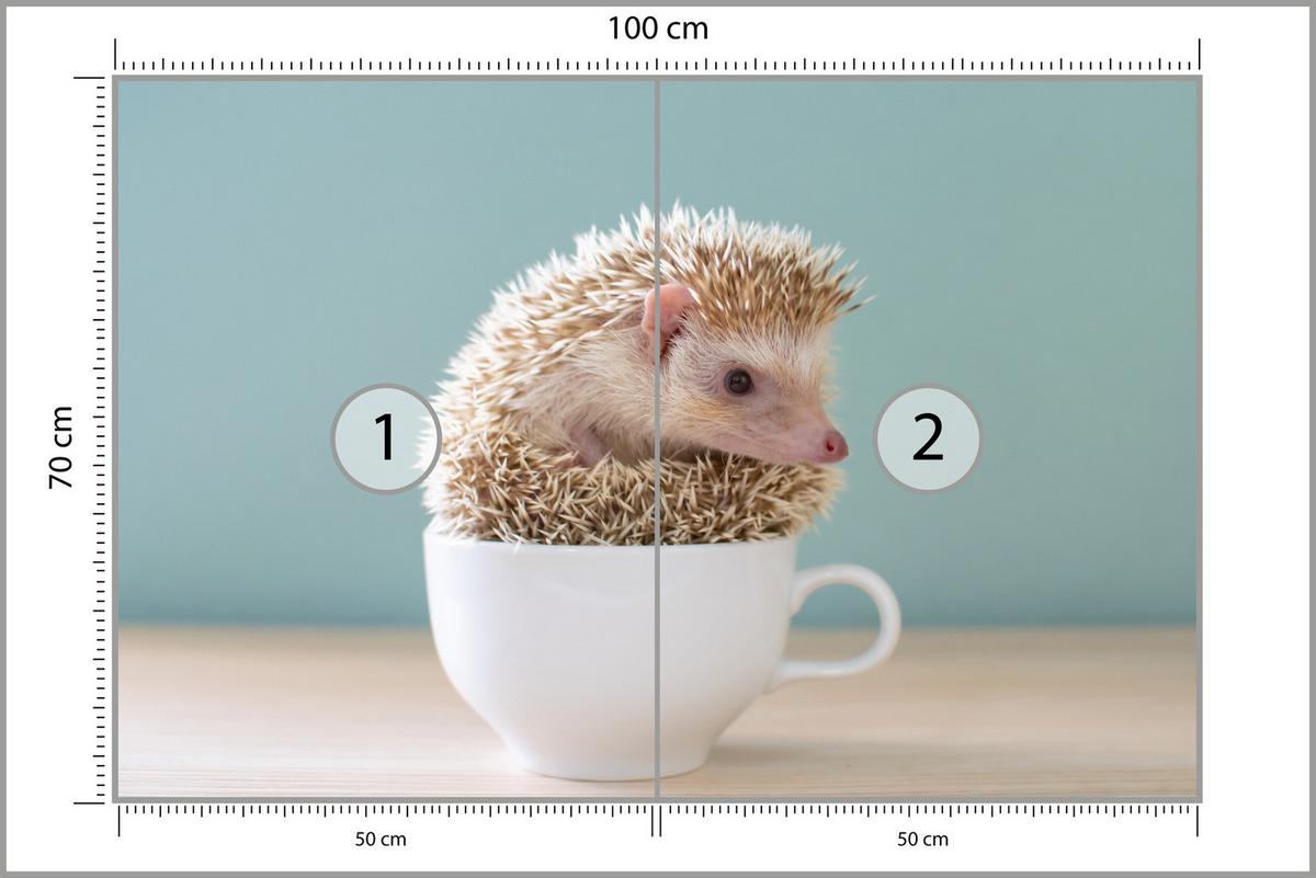 FOTOTAPETE für Esszimmer Igel Weiße Tasse Süß Tier 100x70 - Beige/Weiß, Papier (100/70cm) - Muralo