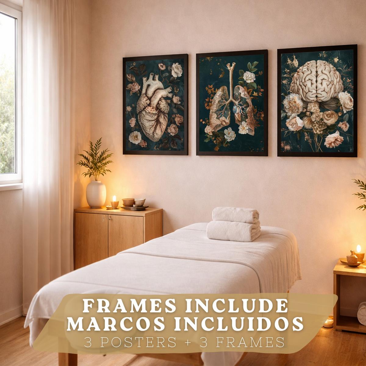 POSTER Set aus 3 Anatomie Drucke und Dekorative Wandbilder mit Herz Gehirn Lungen Atmungssystem Florales Grün Gold Design Größe Schwarzer Rahmen A4 - Schwarz, Papier (21/29.7/3cm) - Nacnic