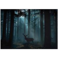 FOTOTAPETE Wald Reh Grün 200x140 cm - Multicolor, Papier (200/140cm) - Wallarena