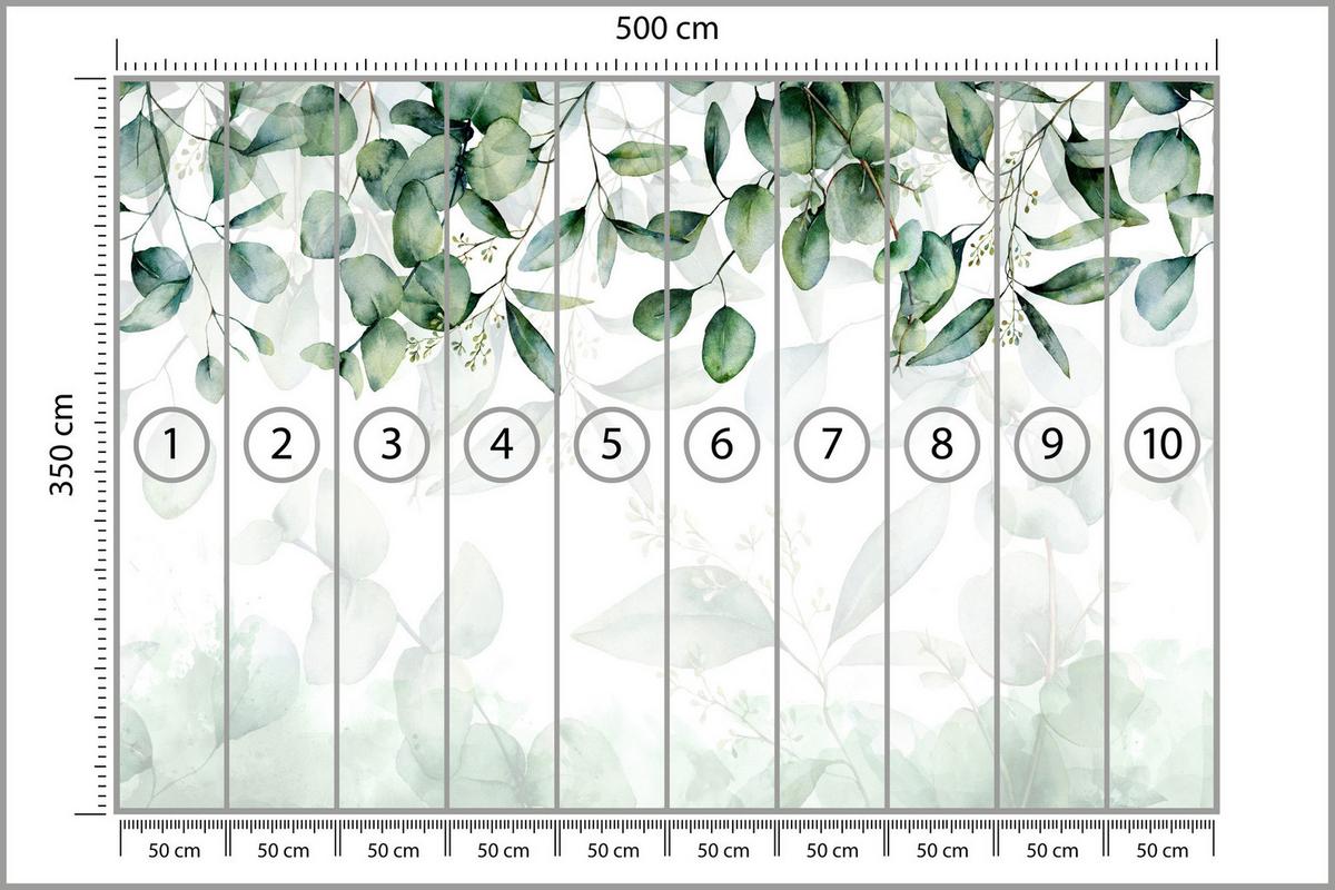 FOTOTAPETE Eukalyptus Blätter Pflanzen Natur 500x350 - Weiß/Grün, Papier (500/350cm) - Muralo