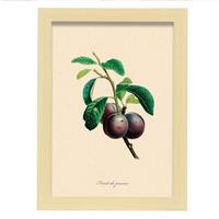 POSTER Pflaume A4 Rahmen Aus Hellem Holz - Beige, Papier (29.7/5/21cm) - Nacnic