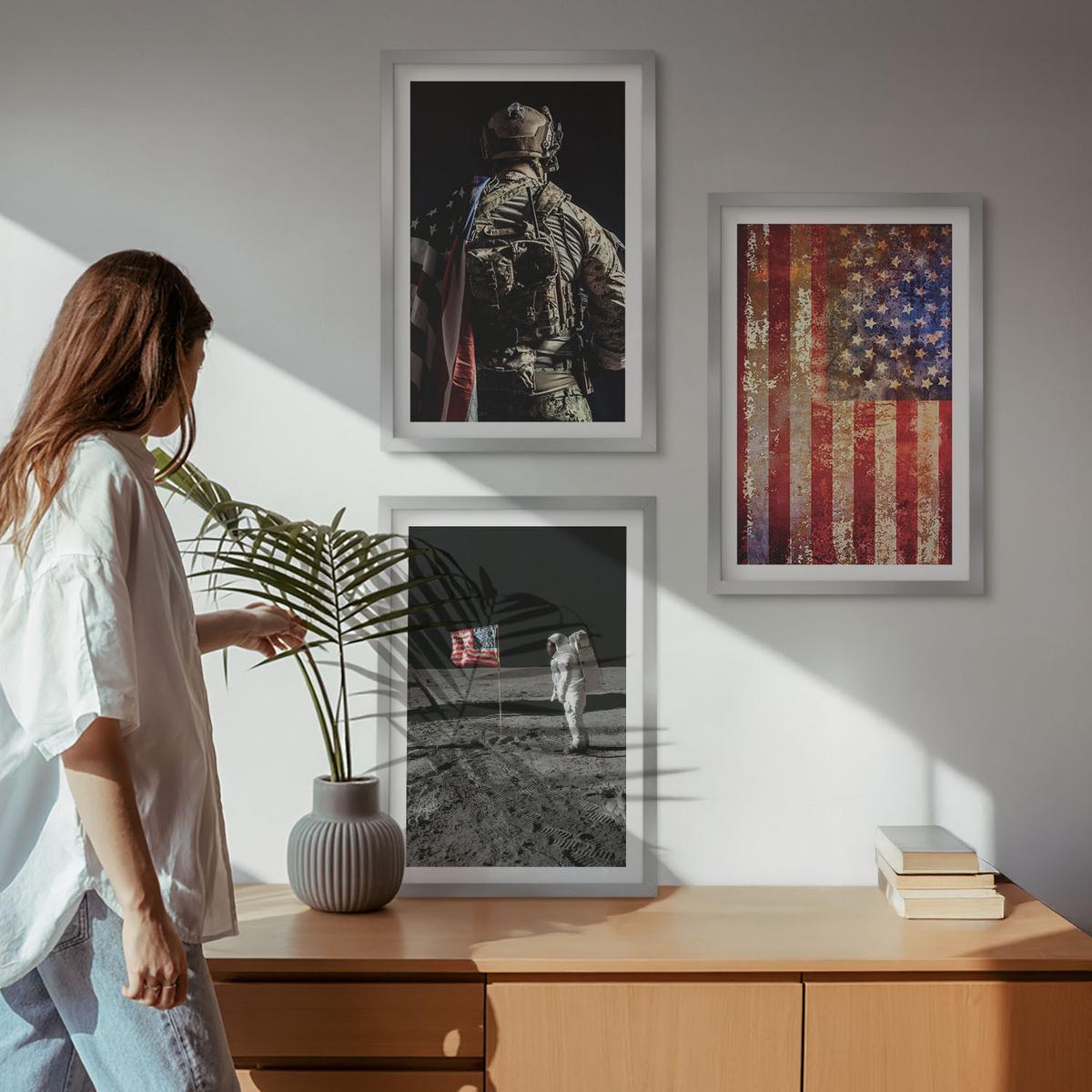 BILDER SET 3er Set - 40x60 cm Silberner Rahmen - Amerikanische Symbole, USA-Flagge - Silberfarben, Kunststoff (40/60cm) - TULUP