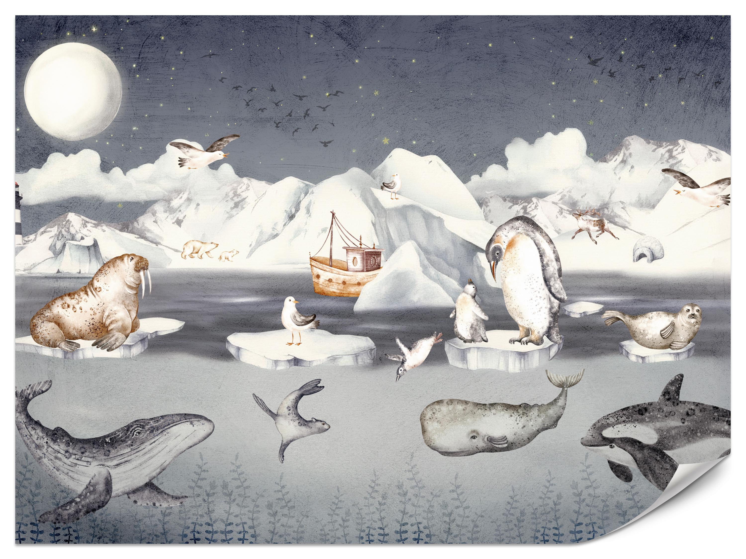 FOTOTAPETE für Kinderzimmer Arktische Tiere Pinguine Robben Mond Gebirge 500x350 - Orange/Weiß, Papier (500/350cm) - Muralo