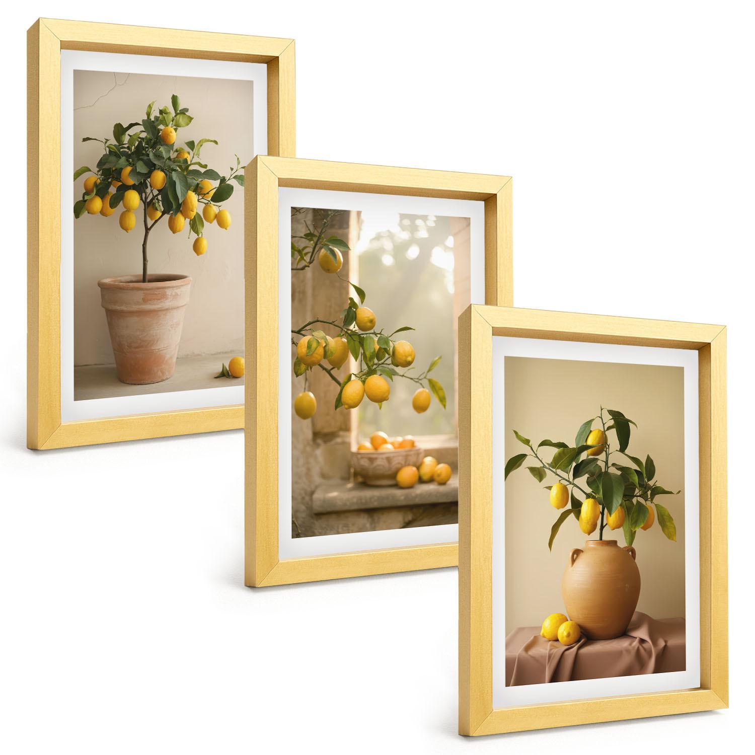 BILDER SET 3er Set - 20x30 cm Goldrahmen - Zitronenbäume im Topf - Goldfarben, Kunststoff (20/30cm) - TULUP