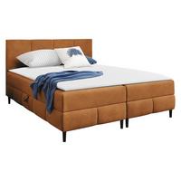 BOXBETT Box Best 2 - H3 - Schwarz/Bronzefarben, Holz/Holzwerkstoff (160/200cm) - MIRJAN24