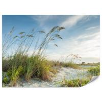FOTOTAPETE für Schlafzimmer Dünen Pflanzen Strand Gras 250x175 - Blau/Beige, Papier (250/175cm) - Muralo