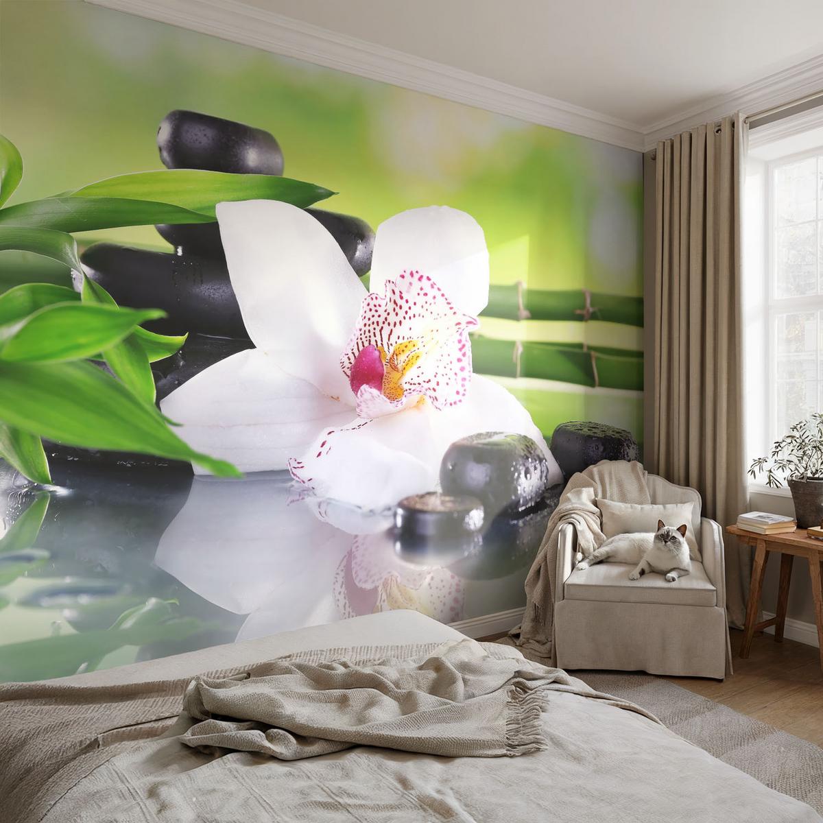 FOTOTAPETE 250x104 cm - Die Ruhe der Natur - Grün, Textil (250/104cm) - Wallfluent