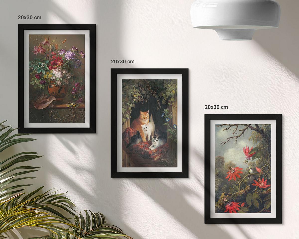 BILDER SET 3er Set - 20x30 cm Schwarzer Rahmen - Vintage-Blumen, Katzen, Natur - Schwarz, Kunststoff (20/30cm) - TULUP