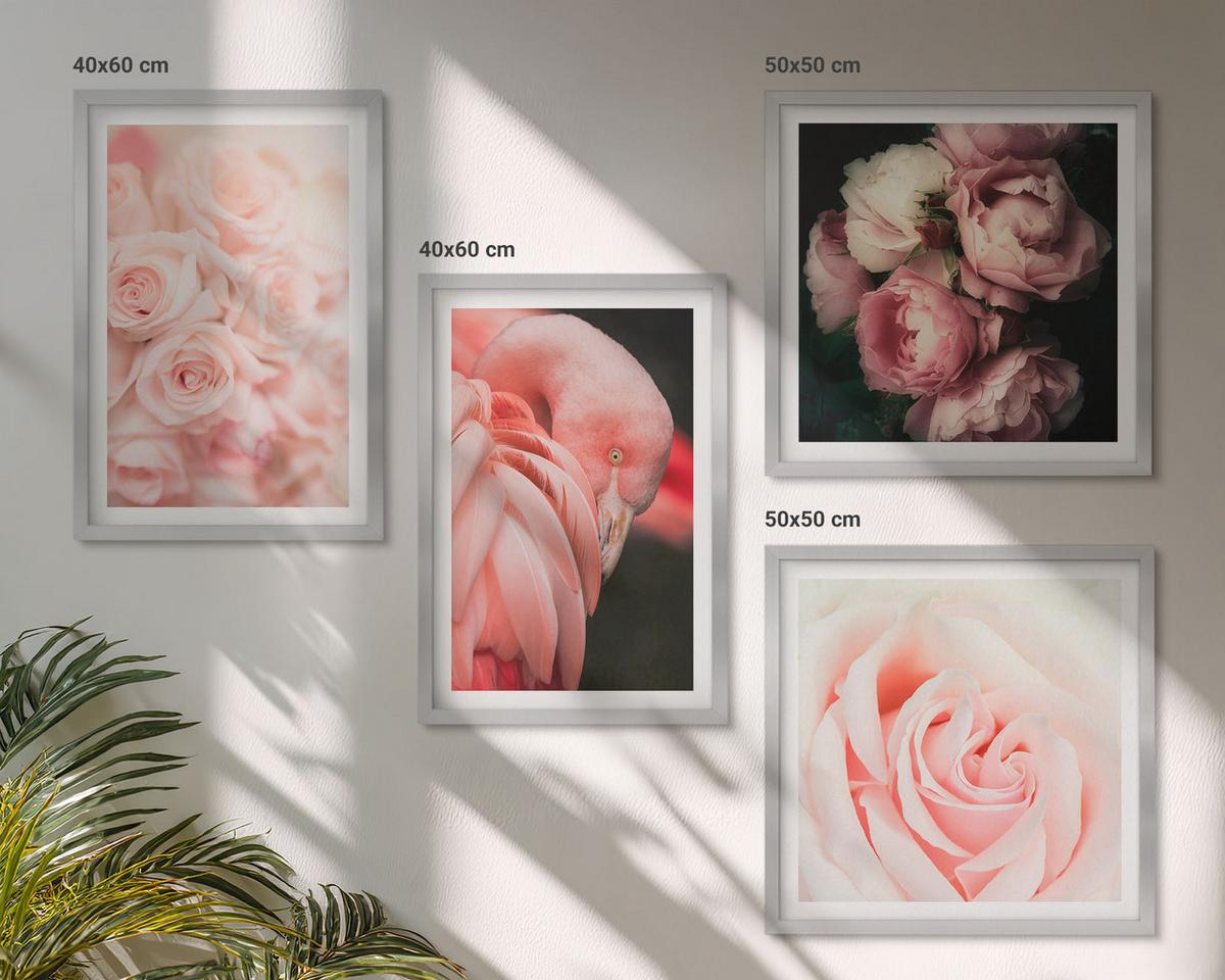 BILDER SET 4er Set - 50x50 cm & 40x60 cm Silberner Rahmen - Pastellrosa Flamingos - Silberfarben, Kunststoff (50/50cm) - TULUP