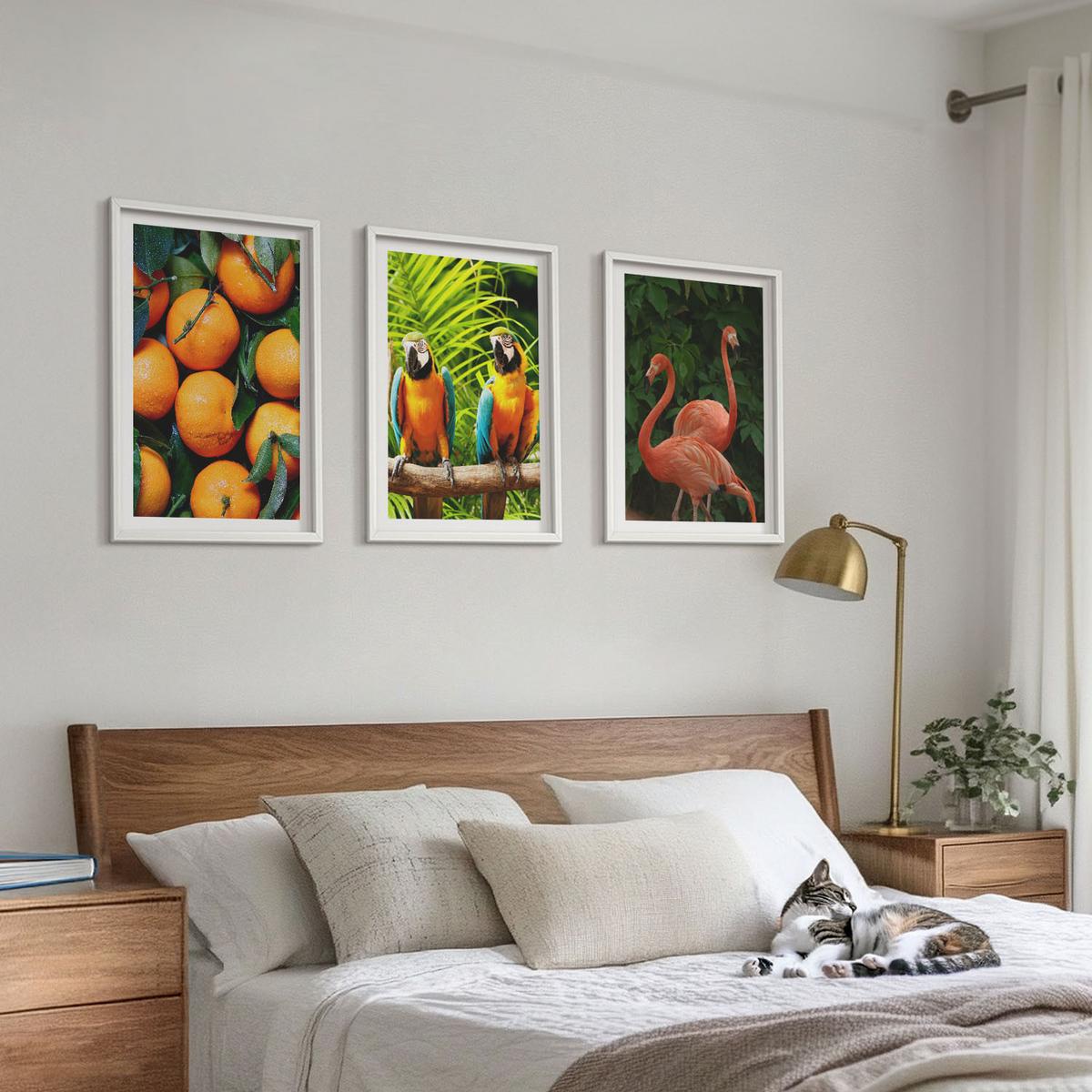 BILDER SET 3er Set - 40x60 cm Weißer Rahmen - Fruchtige Akzente in den Tropen - Weiß, Kunststoff (40/60cm) - TULUP