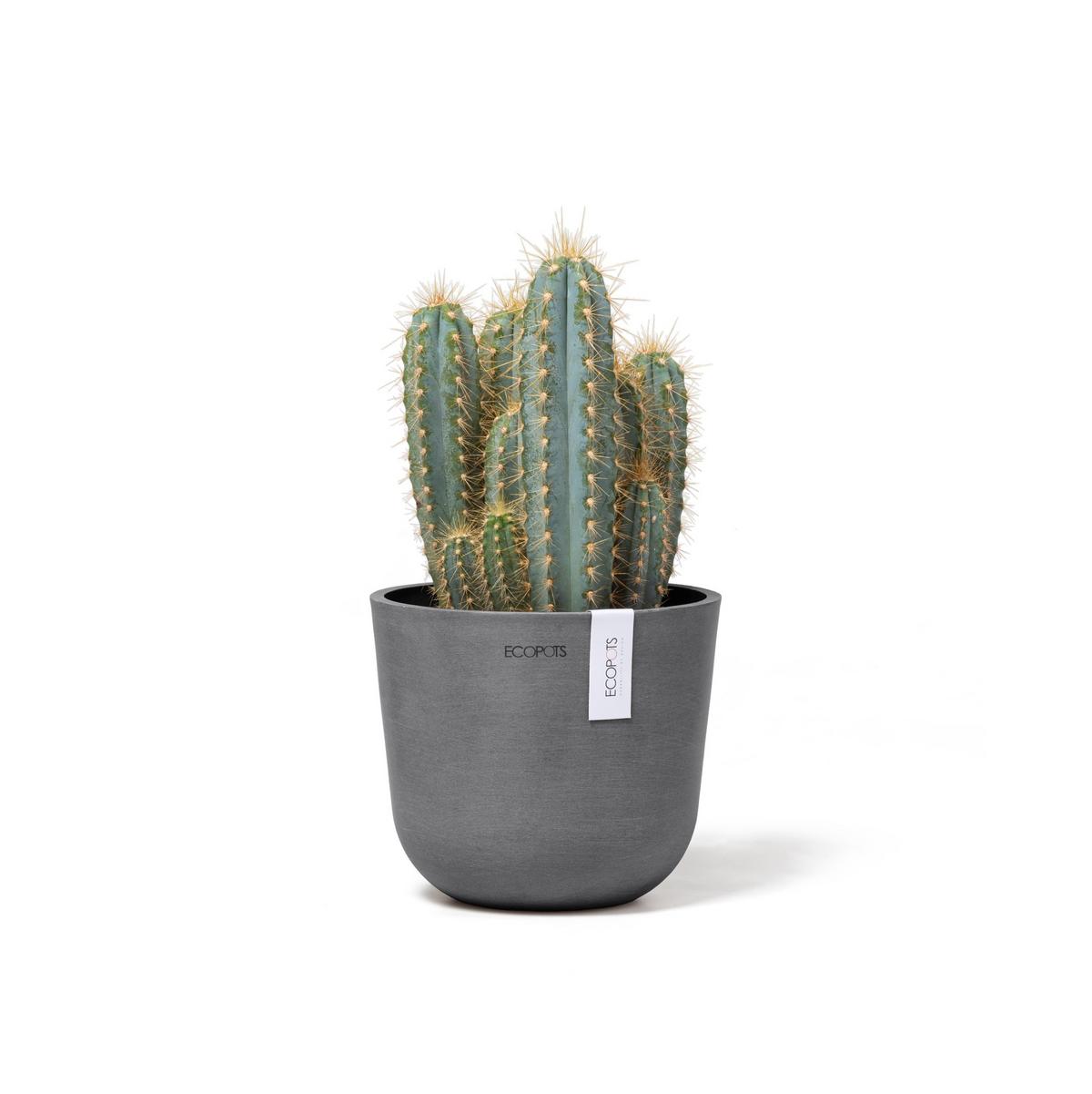 BLUMENTOPF Oslo Mini 16/13,7 cm Grau - Grau, Kunststoff (16/13.7cm) - Ecopots