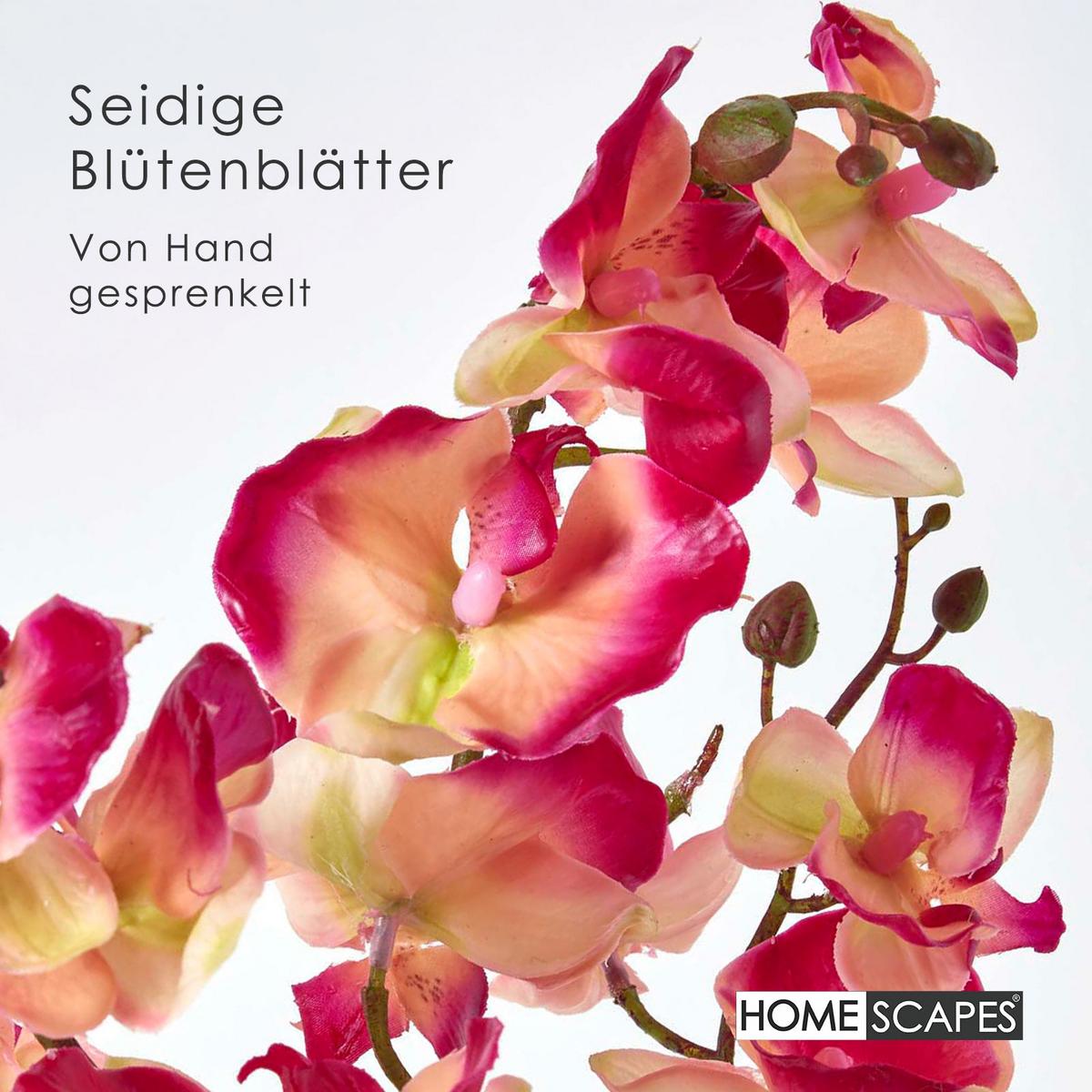 KUNSTBLUME Orchidee pink-apricot mit Moos-Sockel, 60 cm - Pink, Kunststoff (60cm) - Homescapes