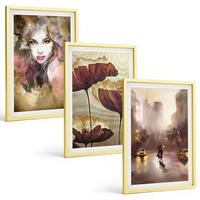 BILDER SET 3er Set - 40x60 cm Goldrahmen - Abstraktes Porträt einer Frau mit Blumen und Regen - Goldfarben, Kunststoff (40/60cm) - TULUP