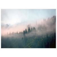 FOTOTAPETE Wald im Nebel 150x105 - Multicolor, Papier (150/105cm) - Wallarena