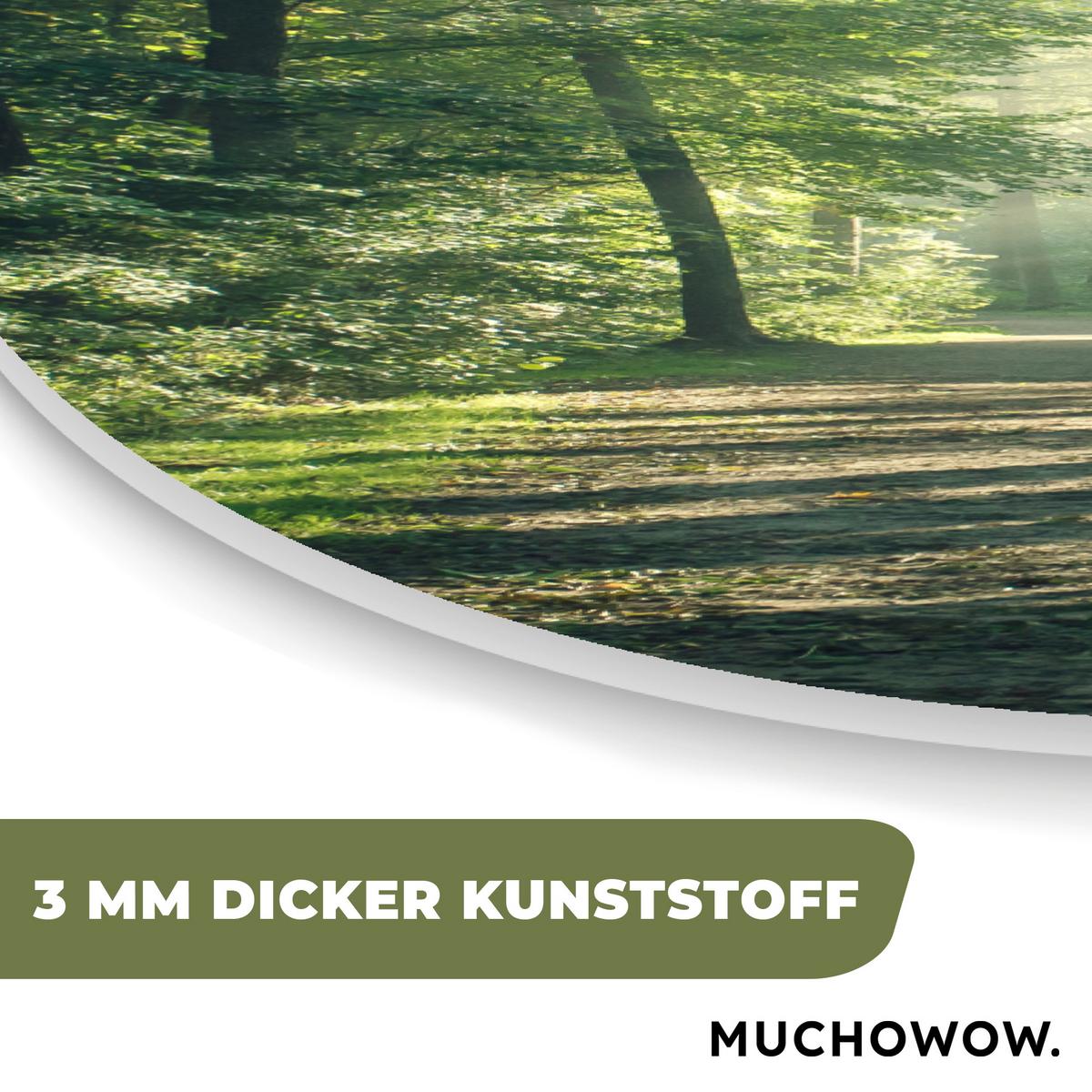 WANDBILD Wald - Weg - Sonne - Bäume - Grün - Natur Deko Groß 80x120 cm - Waldgrün, Kunststoff (80/120cm) - MuchoWow