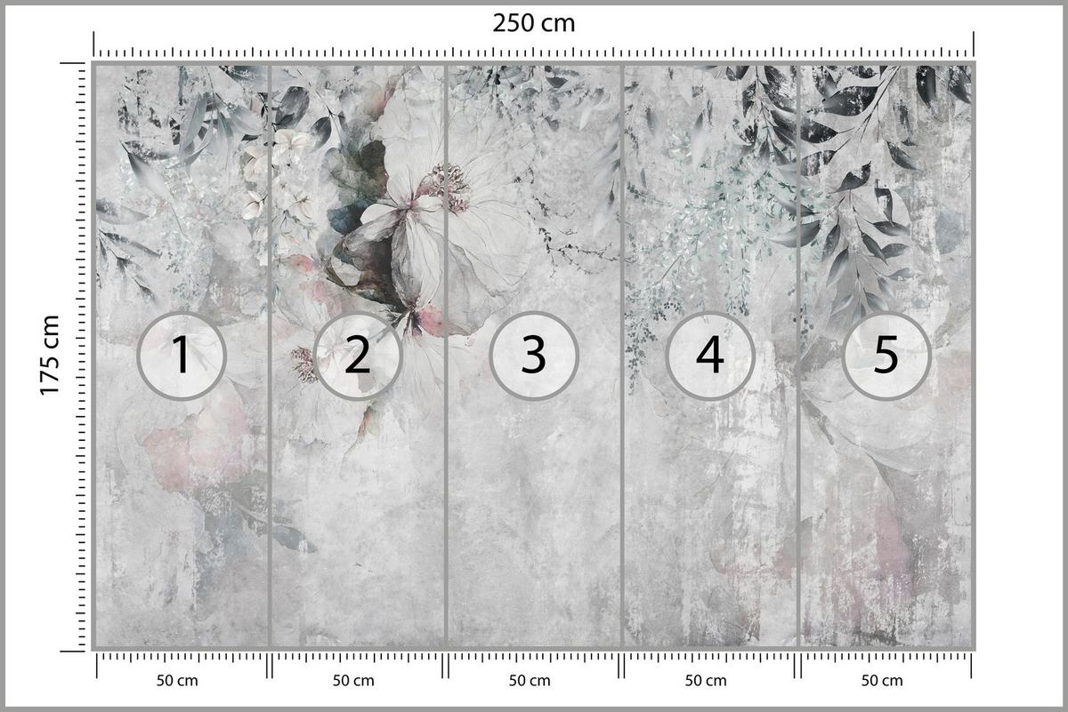 FOTOTAPETE für Büro Zarte Blätter Grau Betonwand Blumen Natur 250x175 - Grau, Papier (250/175cm) - Muralo