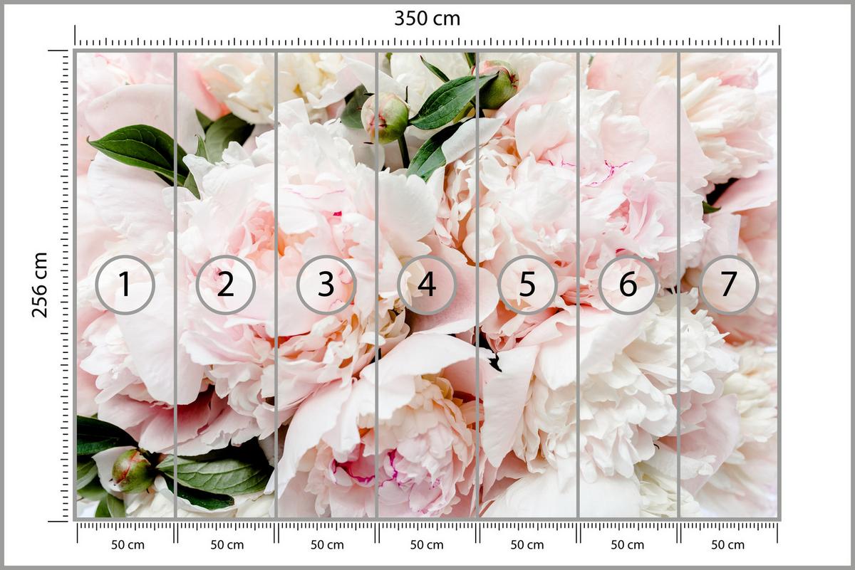 FOTOTAPETE für Schlafzimmer Rosa Zarte Pfingstrosen Natur 350x256 - Rosa/Weiß, Papier (350/256cm) - Muralo