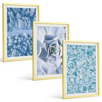 BILDER SET 3er Set - 40x60 cm Goldrahmen - Winterwald blaue Blume Wasser - Goldfarben, Kunststoff (40/60cm) - TULUP