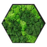 MOOSBILD Hexagon 38x34 cm Mooswand Indoor mit echtem Islandmoos und Holzrahmen Grün Pflegefrei - Hellgrün, Naturmaterialien (38/34/3.4cm) - ECD-Germany