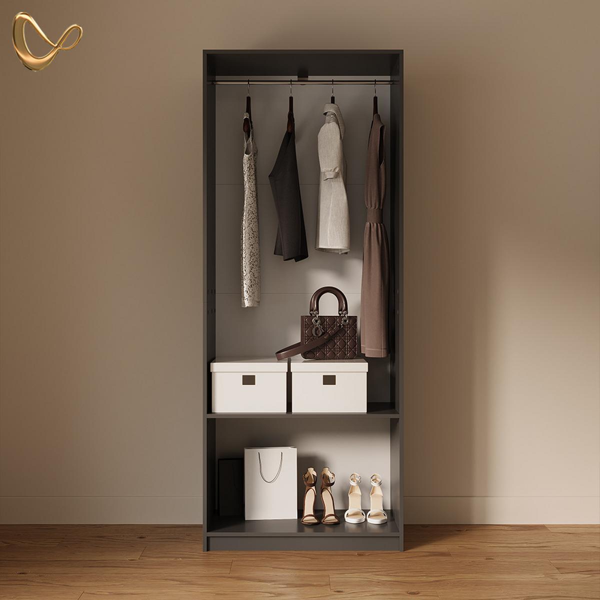 KLEIDERSCHRANK Trento Anthrazit - Anthrazit, Holzwerkstoff (80/200/50cm) - Livinity®