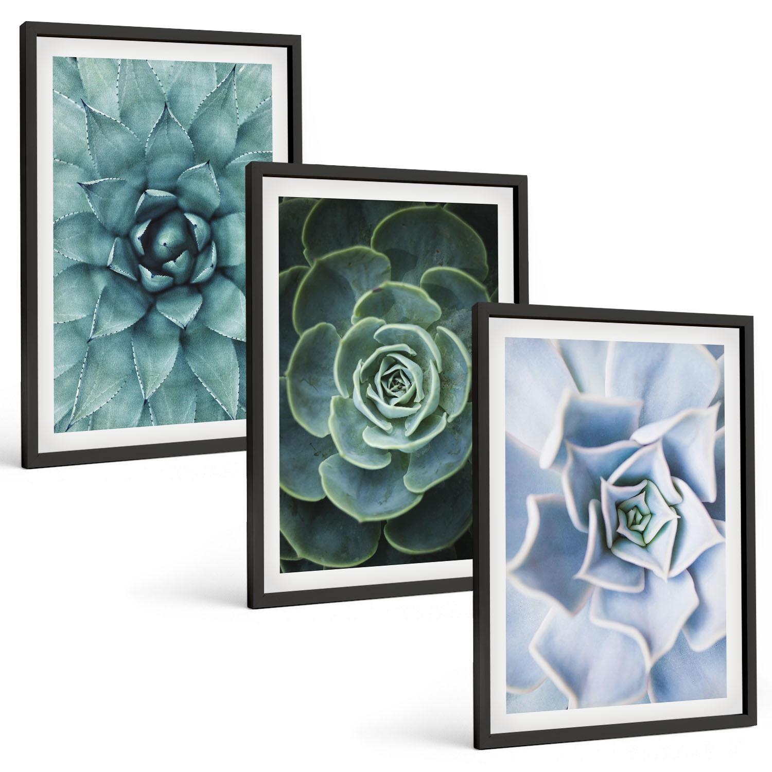 BILDER SET 3er Set - 40x60 cm Schwarzer Rahmen - Sukkulente Pflanzen grün türkis - Schwarz, Kunststoff (40/60cm) - TULUP