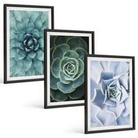 BILDER SET 3er Set - 40x60 cm Schwarzer Rahmen - Sukkulente Pflanzen grün türkis - Schwarz, Kunststoff (40/60cm) - TULUP