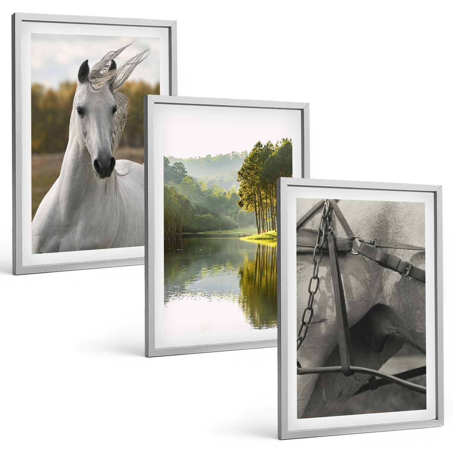 BILDER SET 3er Set - 40x60 cm Silberner Rahmen - Natur des Flusses White Horses - Silberfarben, Kunststoff (40/60cm) - TULUP