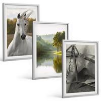 BILDER SET 3er Set - 40x60 cm Silberner Rahmen - Natur des Flusses White Horses - Silberfarben, Kunststoff (40/60cm) - TULUP