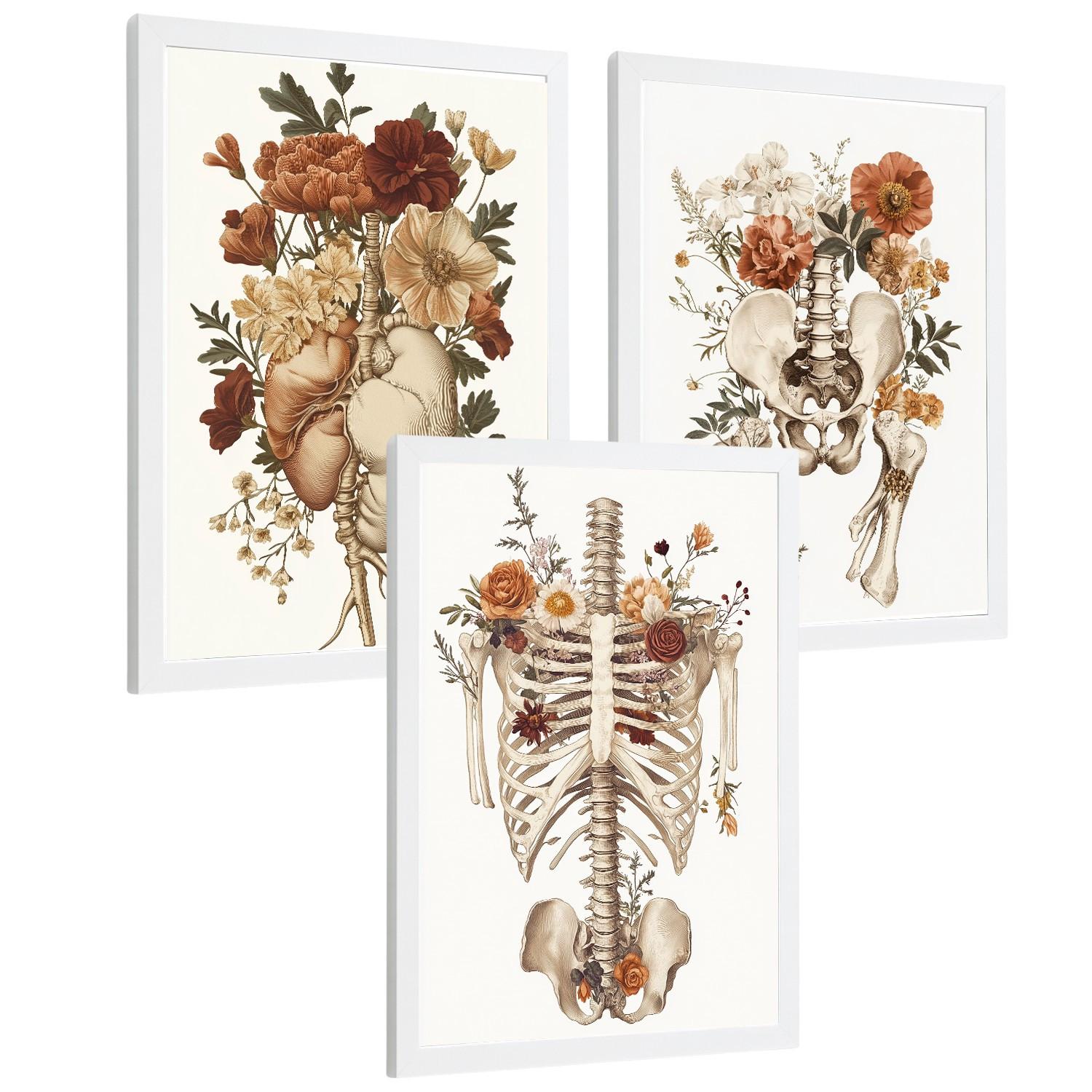 POSTER Set aus 3 Anatomie Mensch Florale Vintage Drucke und Wandbilder mit Herz Brustkorb und Becken Wanddekoration Größe Weißer Rahmen A3 - Weiß, Papier (29.7/42/3cm) - Nacnic