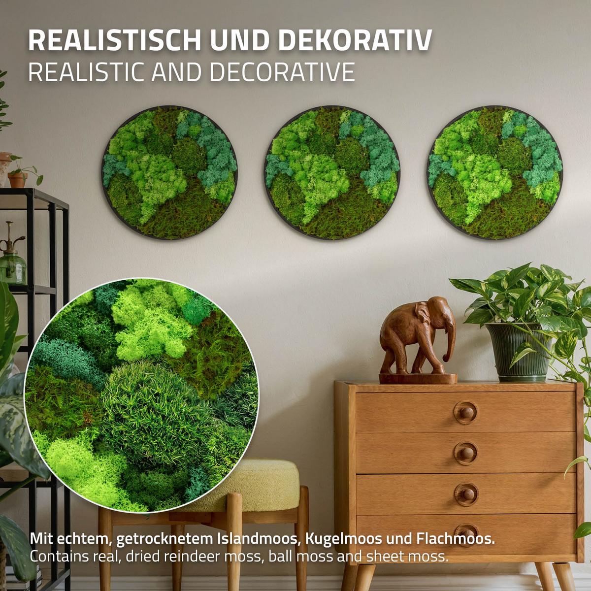MOOSBILD Rund Ø 40 cm Mooswand Indoor mit echtem Kugelmoos-Islandmoos-Flachmoos-Mix und Holzrahmen Grün - Waldgrün, Naturmaterialien (40/40/3cm) - ECD-Germany