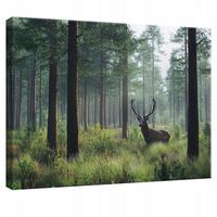 WANDBILD Hirsch Wald Natur Modern 100x70 - Multicolor, Holzwerkstoff (100/70cm) - Wallarena