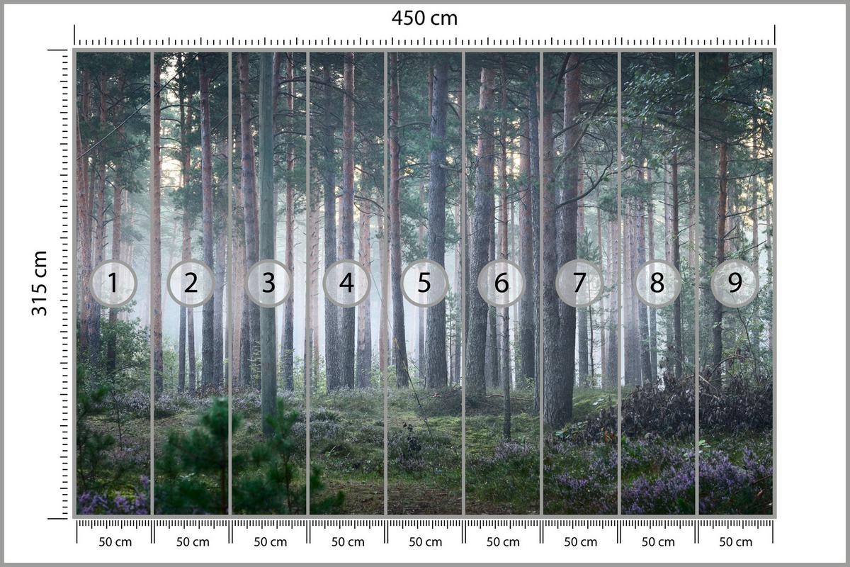 FOTOTAPETE für Wohnzimmer Nebelwald mit Bäumen Moos Grün 450x315 - Grau/Grün, Papier (450/315cm) - Muralo
