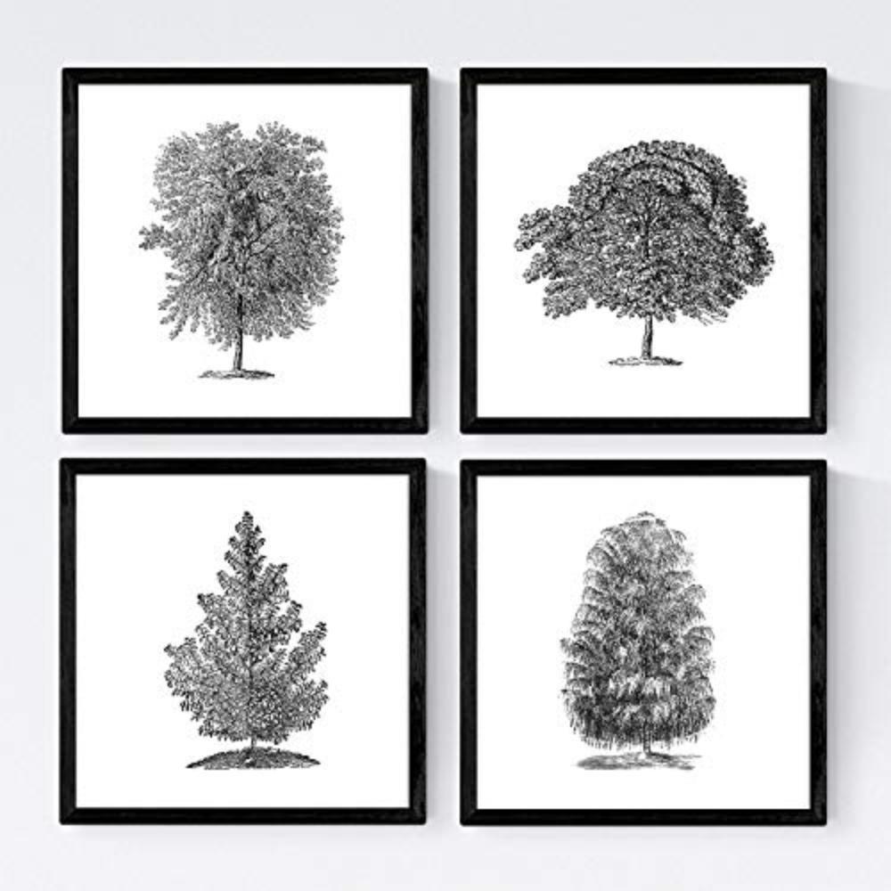 POSTER Set mit 4 Blättern der Baumstamm in halber weiß 20x20cm Schwarzer Rahmen - Schwarz, Papier (20/3cm) - Nacnic