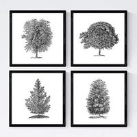 POSTER Set mit 4 Blättern der Baumstamm in halber weiß 20x20cm Schwarzer Rahmen - Schwarz, Papier (20/3cm) - Nacnic