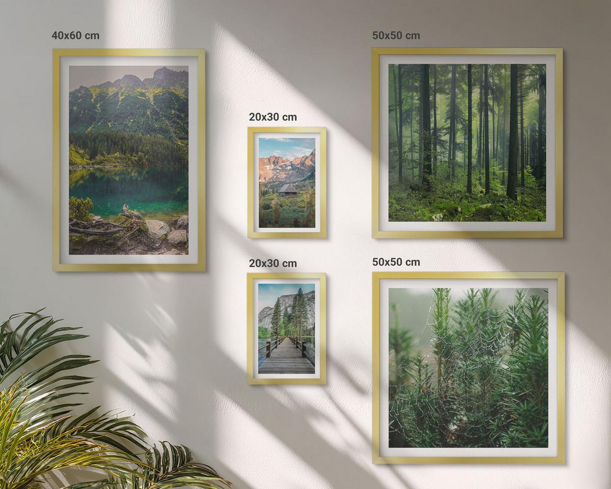 BILDER SET 5er Set - 50x50 cm & 20x30 cm & 40x60 cm Goldrahmen - Minimalistische Pflanzenzeichnungen - Goldfarben, Kunststoff (40/60cm) - TULUP