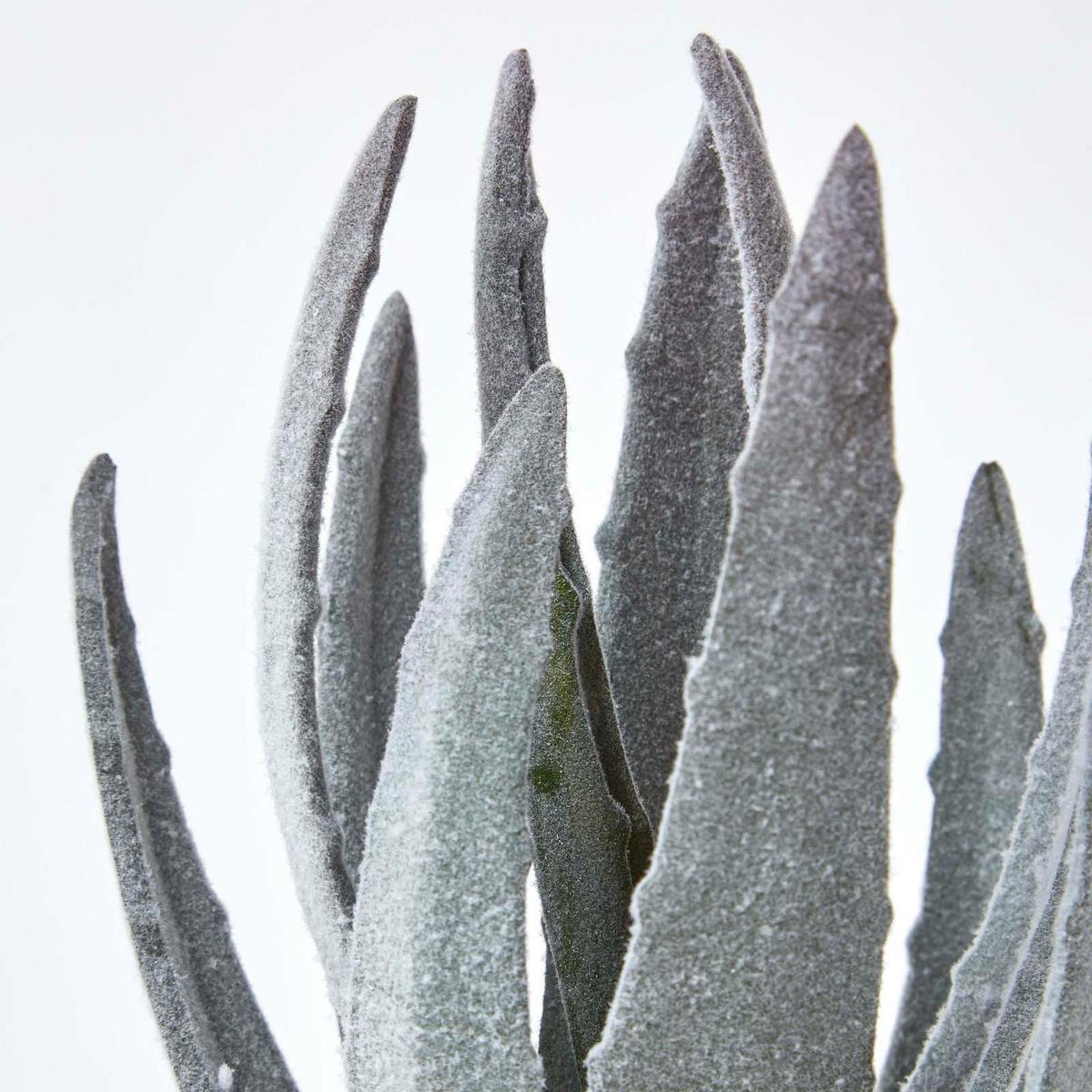 KUNSTPFLANZE Aloe vera im Terrakotta-Topf, 21 cm - Grün, Kunststoff (21cm) - Homescapes