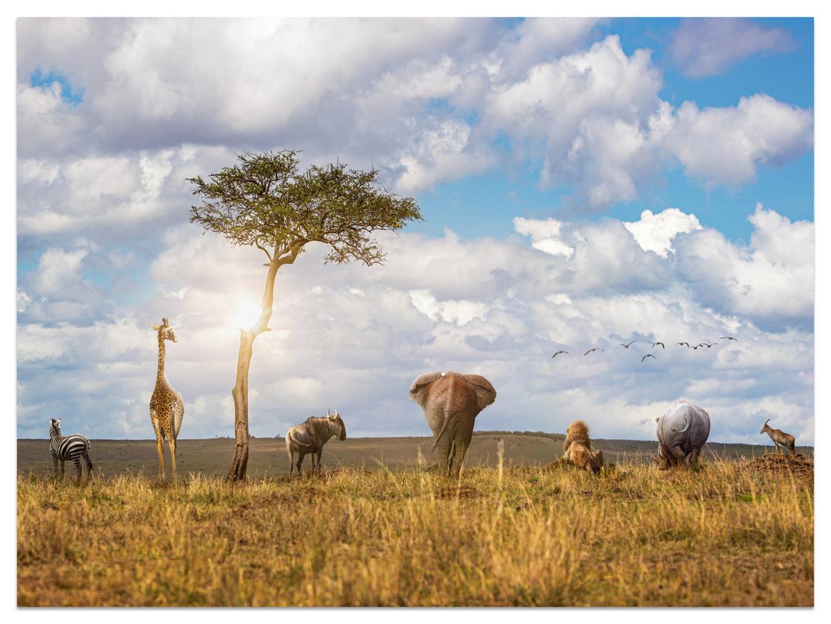FOTOTAPETE für Kinderzimmer Safari Tiere Elefant Giraffe Löwe 200x140 - Beige/Braun, Papier (200/140cm) - Muralo