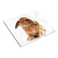 GLASPLATTE 60x52 cm Rotes Kaninchen - Rot/Multicolor, Glas (60/52cm) - TULUP