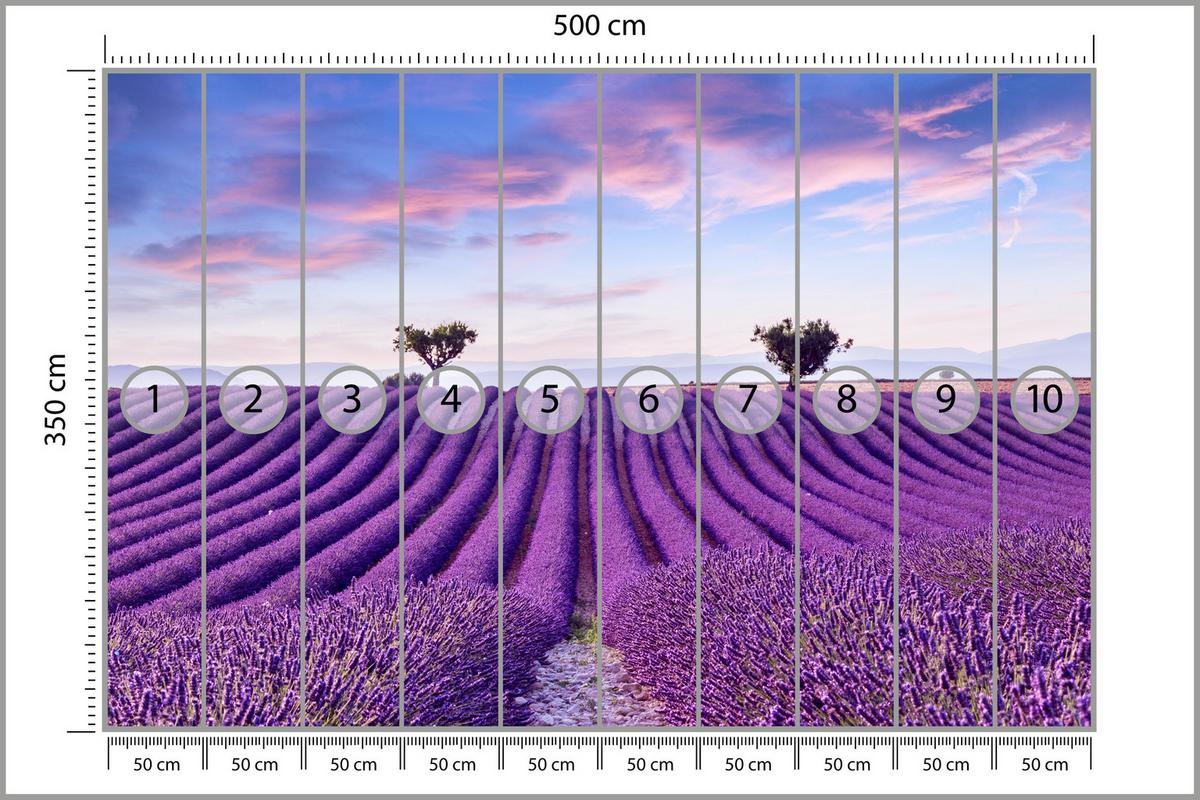 FOTOTAPETE für Küche Lavendelfeld Lila Natur Sträucher 500x350 - Blau/Violett, Papier (500/350cm) - Muralo