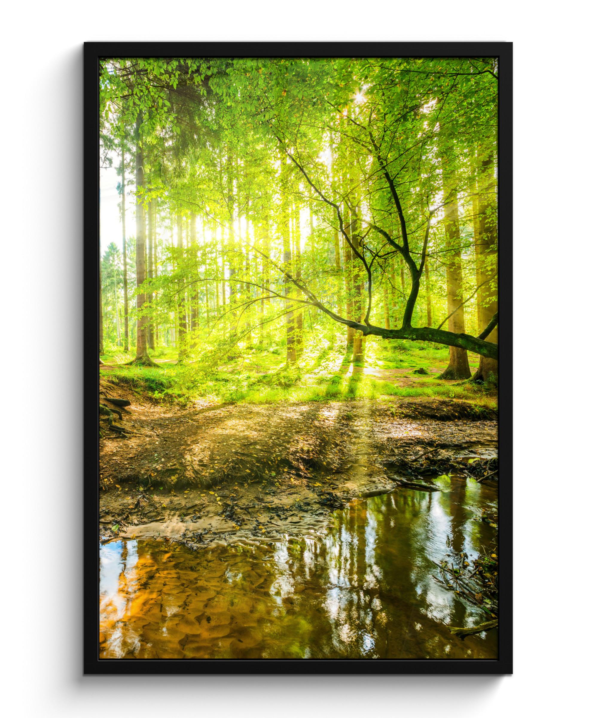 POSTER MIT RAHMENGERAHMTES BILD Wald - Landschaft - Wasser - Bäume - Sonne - Grün - Natur 60x90 cm - Grün, Papier (60/90cm) - MuchoWow