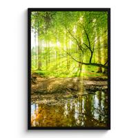 POSTER MIT RAHMENGERAHMTES BILD Wald - Landschaft - Wasser - Bäume - Sonne - Grün - Natur 60x90 cm - Grün, Papier (60/90cm) - MuchoWow