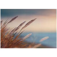 FOTOTAPETE Gras Natur Beige 400x280 cm - Multicolor, Papier (400/280cm) - Wallarena