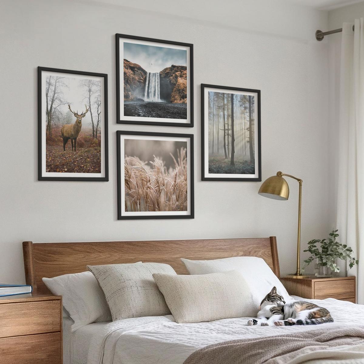 BILDER SET 4er Set - 50x50 cm & 40x60 cm Schwarzer Rahmen - Waldlandschaften der Wildnis - Schwarz, Kunststoff (50/50cm) - TULUP