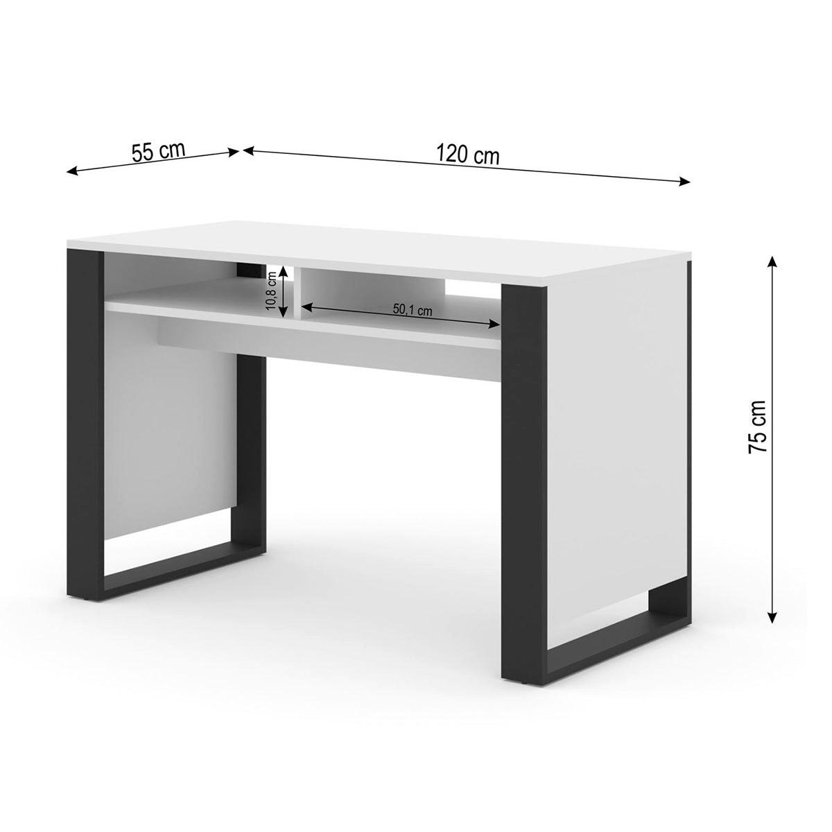 SCHREIBTISCH Gani Weiß und Mattschwarz - Weiß, Holzwerkstoff (120/55/75cm) - Petits-meubles