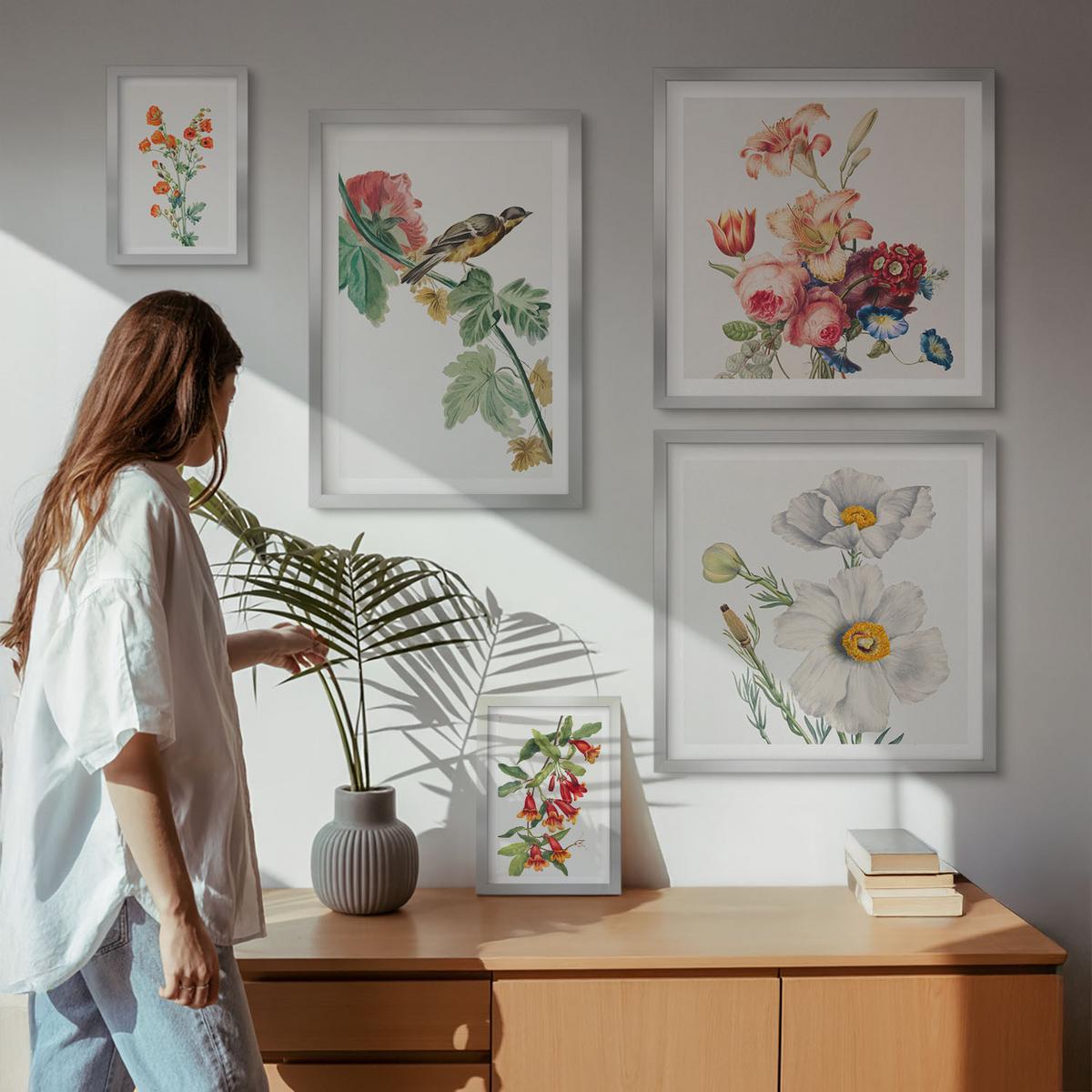 BILDER SET 5er Set - 50x50 cm & 20x30 cm & 40x60 cm Silberner Rahmen - Gemalte Blumen, Retro-Vogel - Silberfarben, Kunststoff (40/60cm) - TULUP