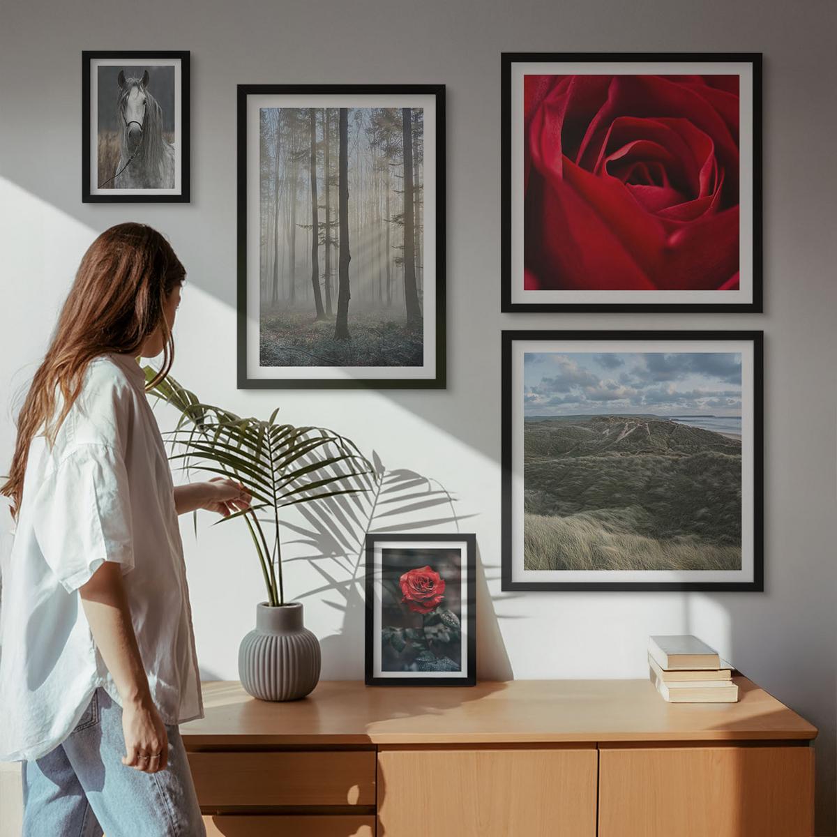 BILDER SET 5er Set - 50x50 cm & 20x30 cm & 40x60 cm Schwarzer Rahmen - Rote Rosen auf pferdegrauem Hintergrund - Schwarz, Kunststoff (40/60cm) - TULUP