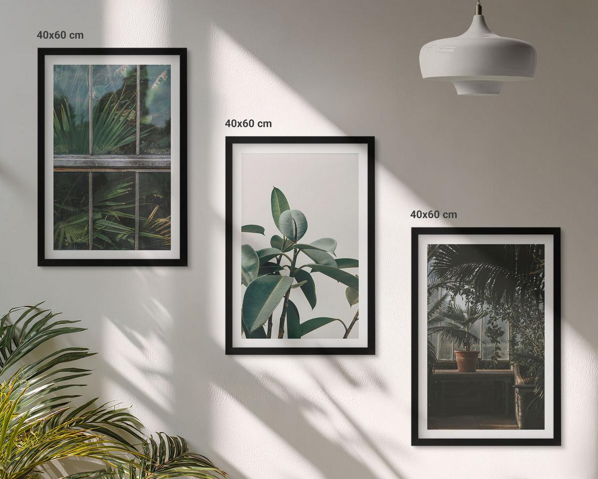 BILDER SET 3er Set - 40x60 cm Schwarzer Rahmen - Grüne Blätter an der Fensterpflanze - Schwarz, Kunststoff (40/60cm) - TULUP