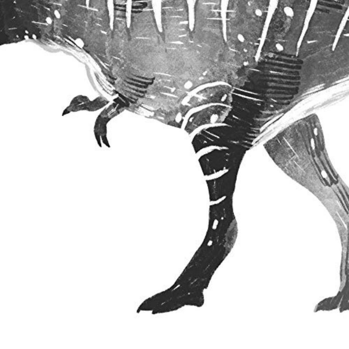 POSTER Set mit 4 Dinosaurios weiß negro A4 Schwarzer Rahmen - Schwarz, Papier (29.7/3cm) - Nacnic