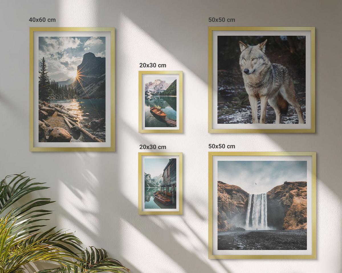BILDER SET 5er Set - 50x50 cm & 20x30 cm & 40x60 cm Goldrahmen - Berge, Seen, Wasserfall, Wolf - Goldfarben, Kunststoff (40/60cm) - TULUP