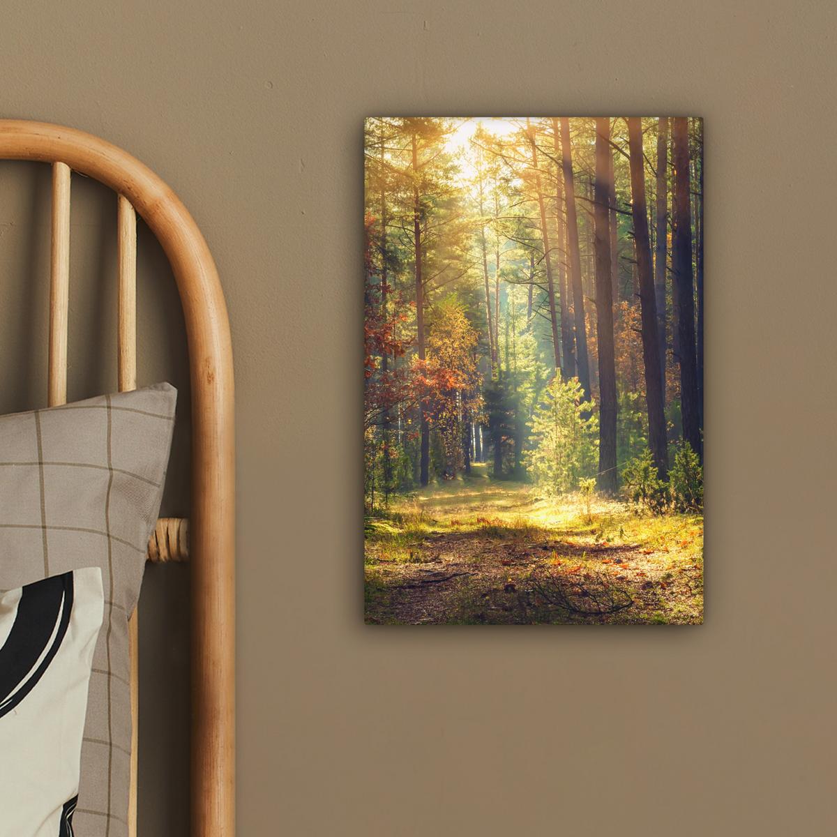 LEINWANDBILD Wald - Herbst - Bäume Deko Wohnzimmer 20x30 cm - Dunkelgrün, Textil (20/30cm) - MuchoWow